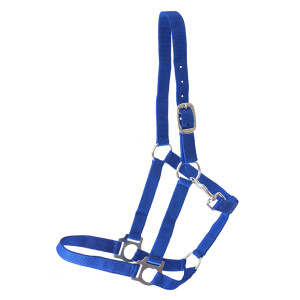 Synthetic halter "Meadow" royal blue Shetty