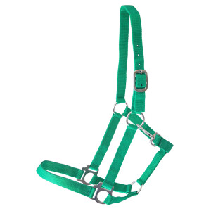 Synthetic halter "Meadow" green Full