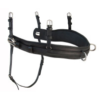 Breastplate "Top Class" for pairs black Cob