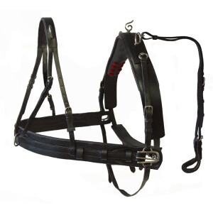 Pair harness "Basic Plus", Mini-Mini Shetty black