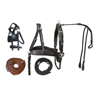 Pair harness "Top Class", Pony