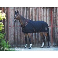 Stable blanket "Exclusive Collection" Gold Edition black-brown 125 cm