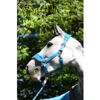 Fleecehalter "Exclusive Collection" Silver Edition turquoise-grey Pony