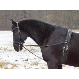 Dreieckszügel - Wienerzügel schwarz Pony