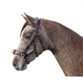 Multibridle "German Riding" 4in1