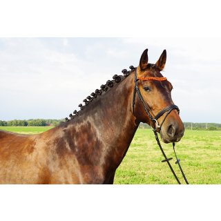 Amber bridle "German Riding" Duo