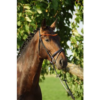 German Riding Grosshandel, Herstellung Reit-und Pferdesportartikel