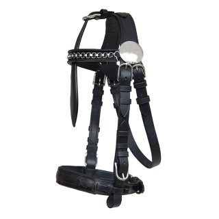 Harness Bridle "Top Class" without blinkers Pony brown