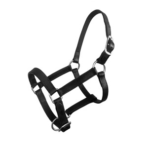 Foal halter, leather