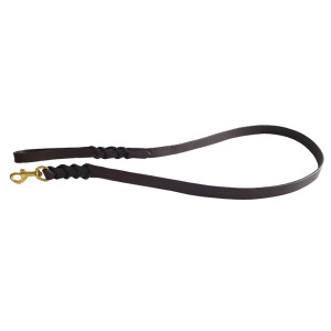 Dog leash, braided